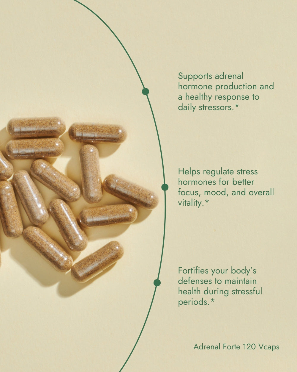 Adrenal Forte 120 Vcaps